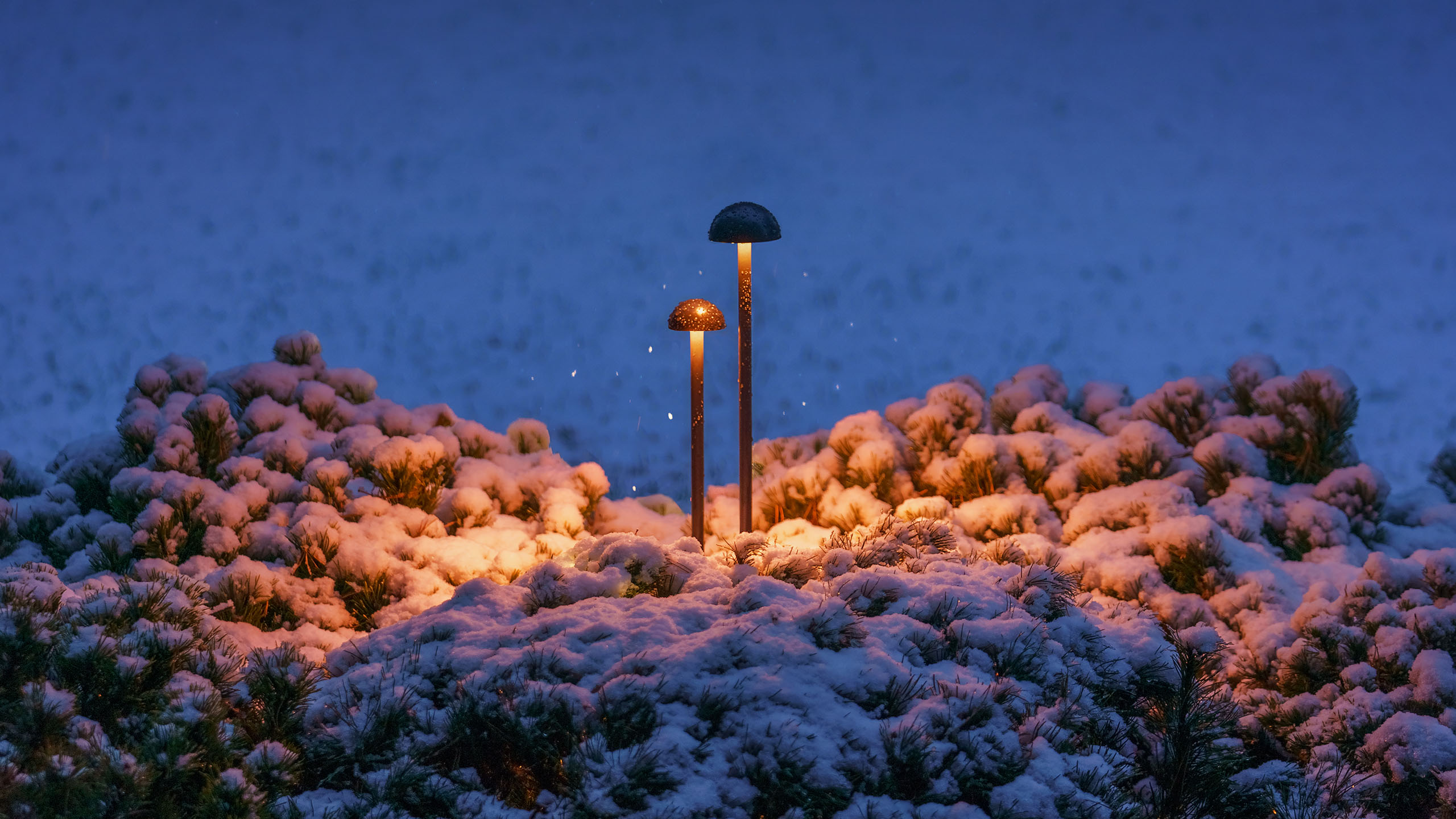 Светильники BOROVIK