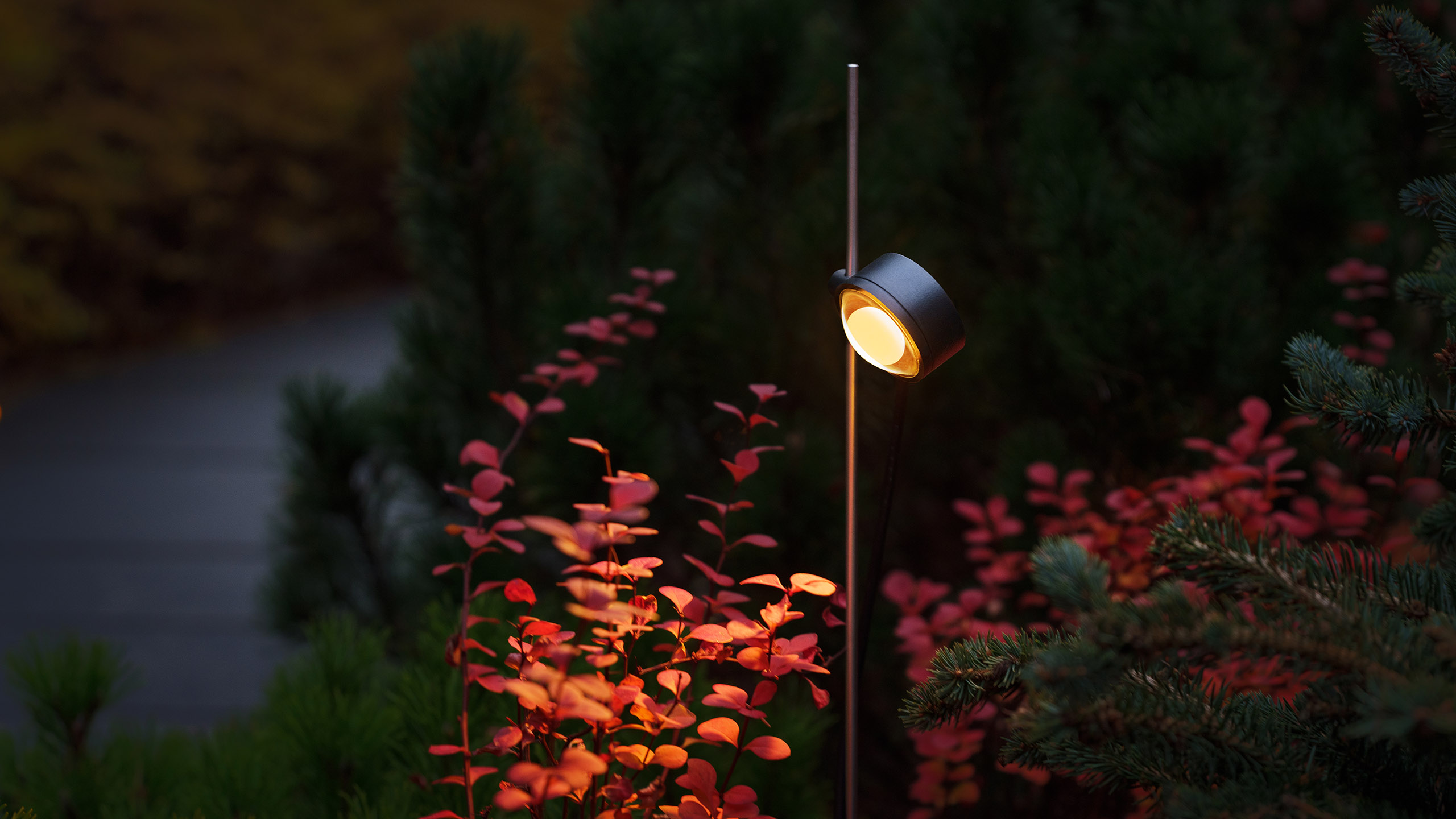 Светильники PIN LOOP