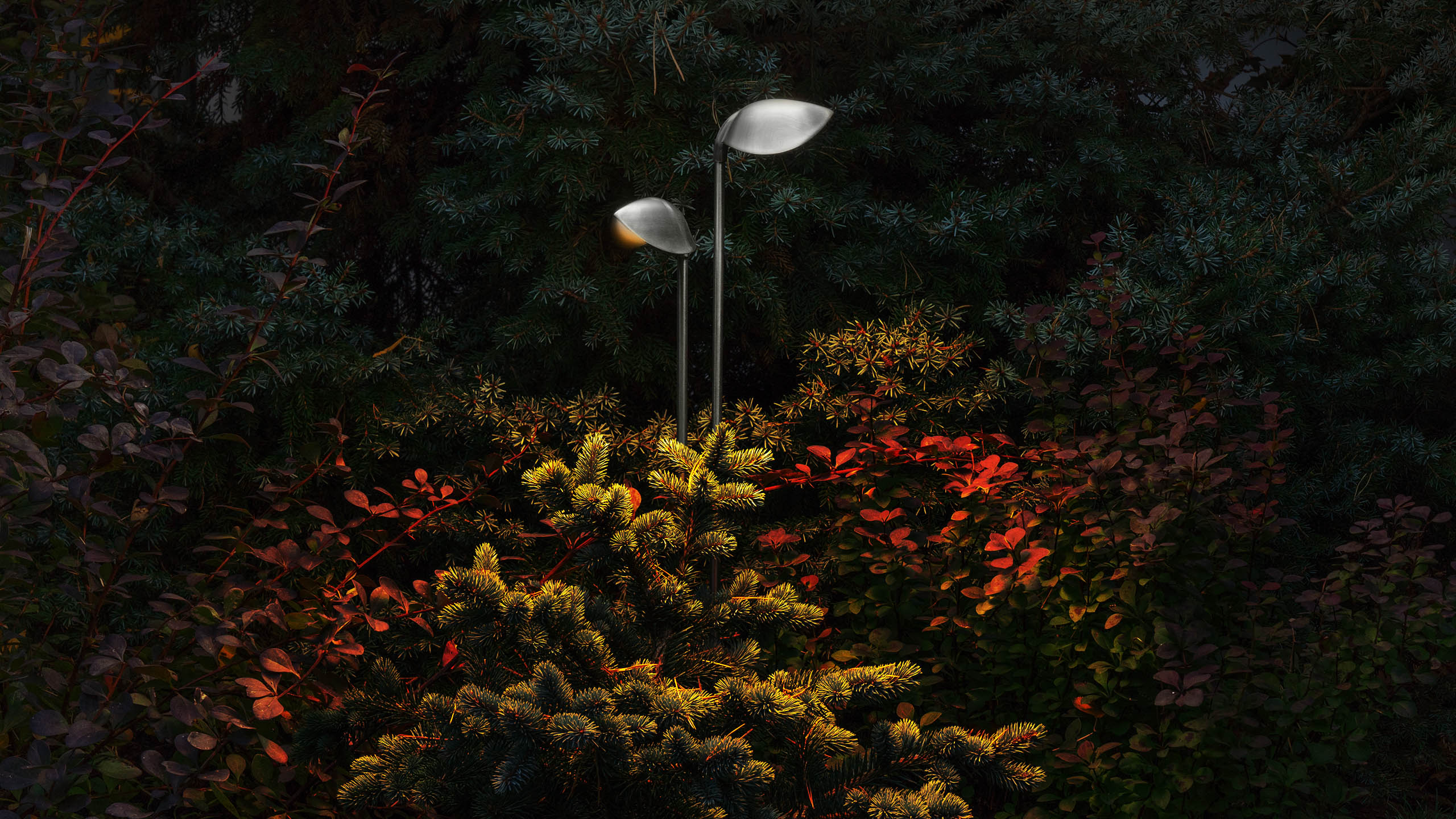 GARDEN / TULPAN
