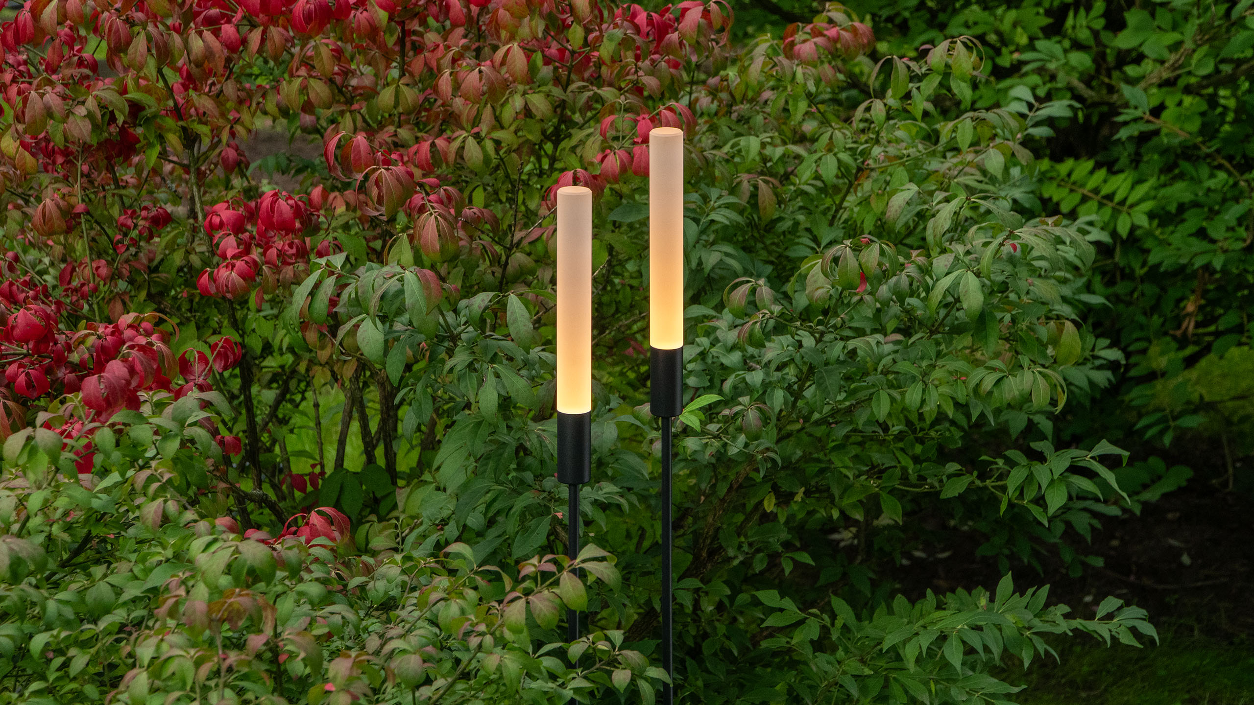 Светильники REEDS