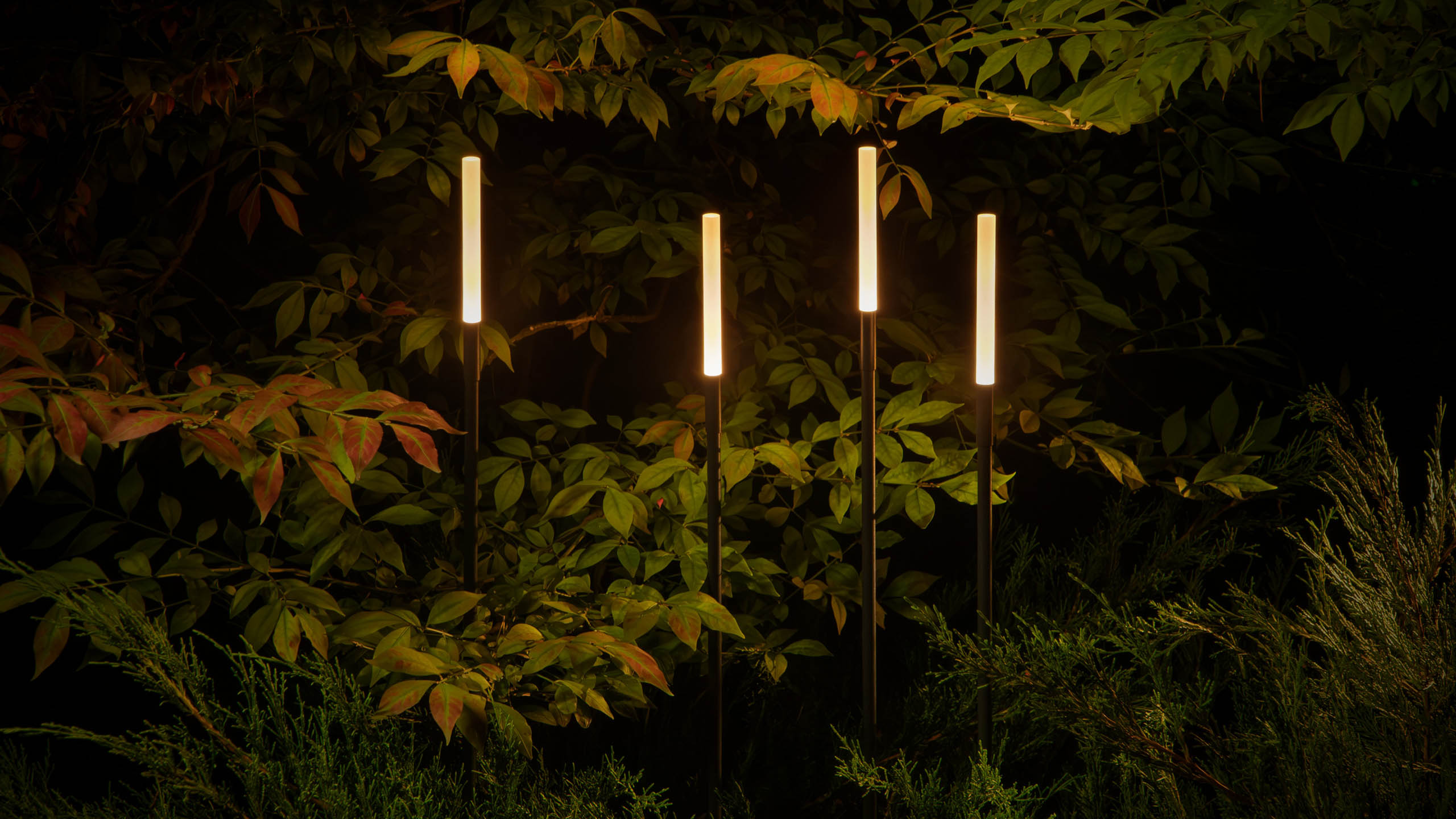 Светильники REEDS XS