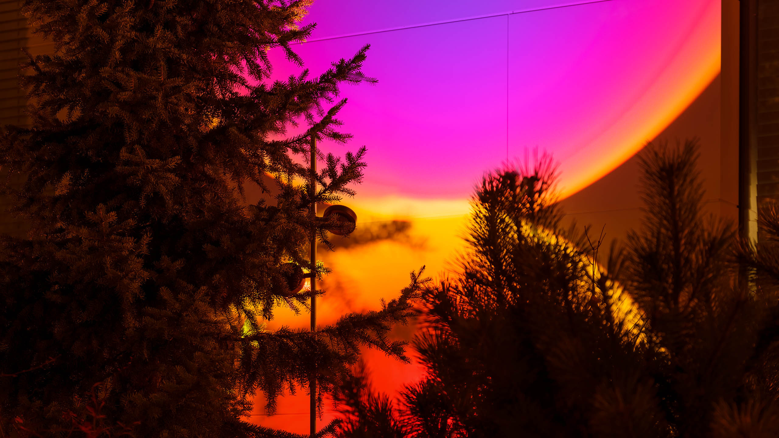 GARDEN / FILTER