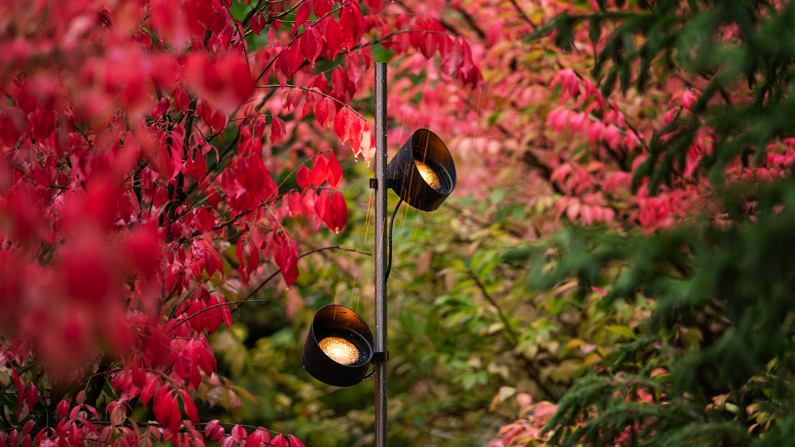 GARDEN / TABLET
