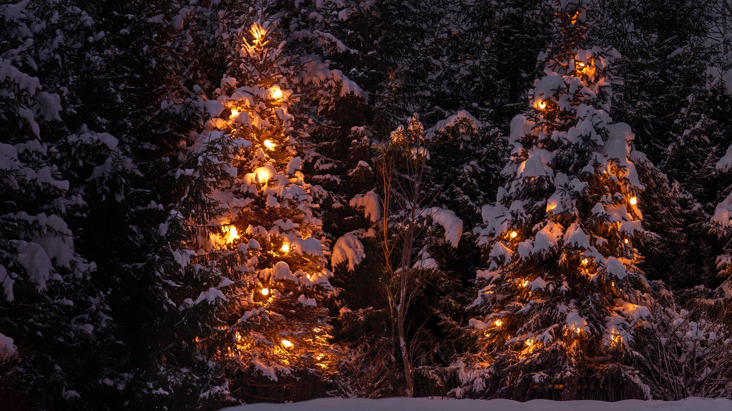 Ландшафтные светильники SIERA